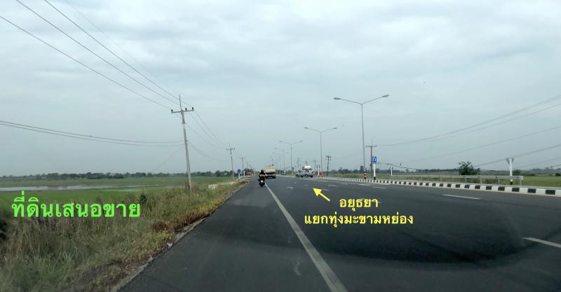 ที่ดิน 8400000 พระนครศรีอยุธยา บางปะหัน พุทเลา