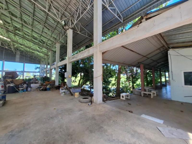 ที่ดิน 3890000 บุรีรัมย์ เมืองบุรีรัมย์ บ้านยาง