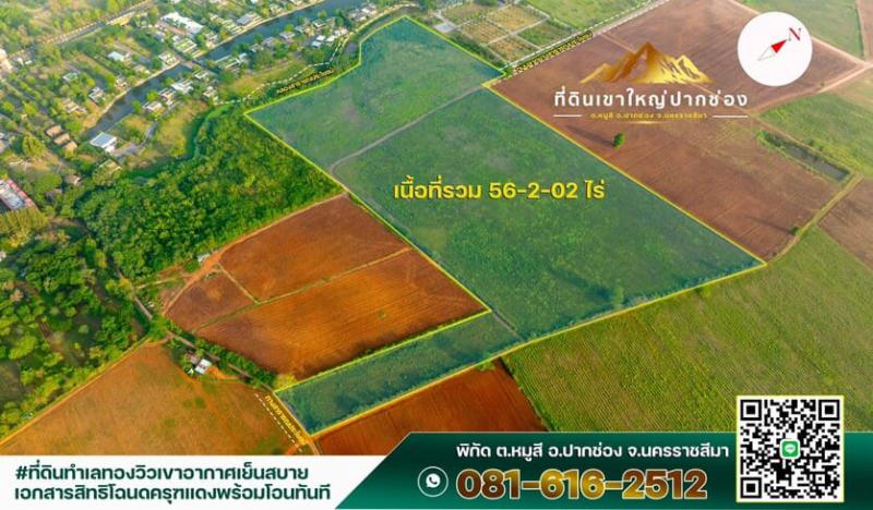 ที่ดิน 8000000 นครราชสีมา ปากช่อง หมูสี