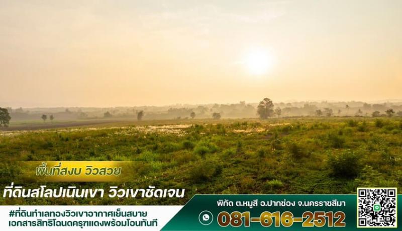 ที่ดิน 8000000 นครราชสีมา ปากช่อง หมูสี