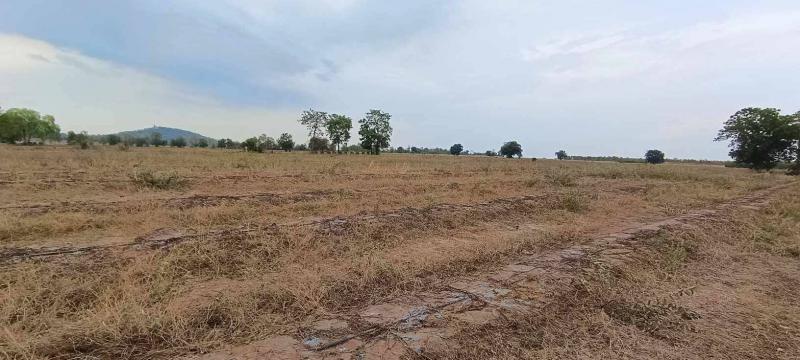 ที่ดิน 120000 สุพรรณบุรี เดิมบางนางบวช หัวนา