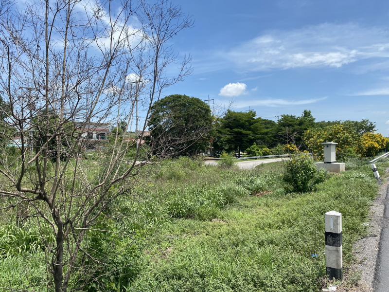ที่ดิน 4200000 พระนครศรีอยุธยา บางปะหัน ขวัญเมือง
