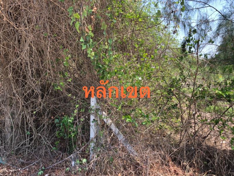 ที่ดิน 350000 ราชบุรี จอมบึง รางบัว