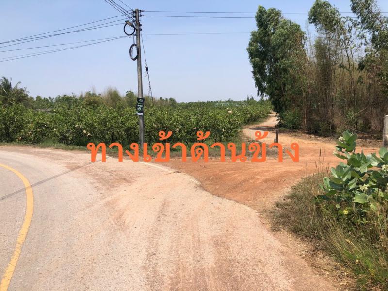 ที่ดิน 350000 ราชบุรี จอมบึง รางบัว