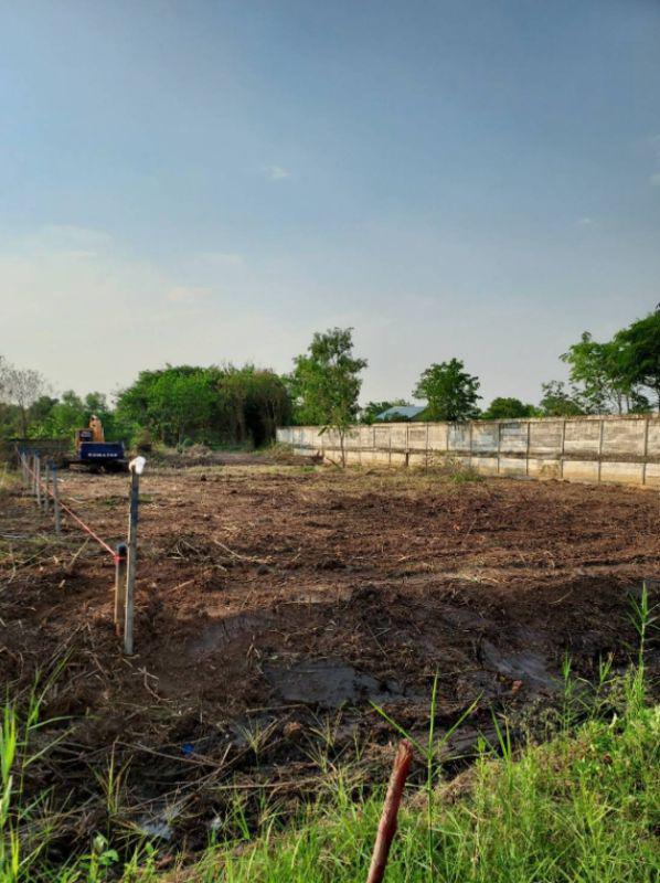 ที่ดิน 7540000 ปทุมธานี สามโคก บางเตย