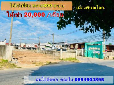 ที่ดิน 20000 พิษณุโลก เมืองพิษณุโลก บ้านคลอง