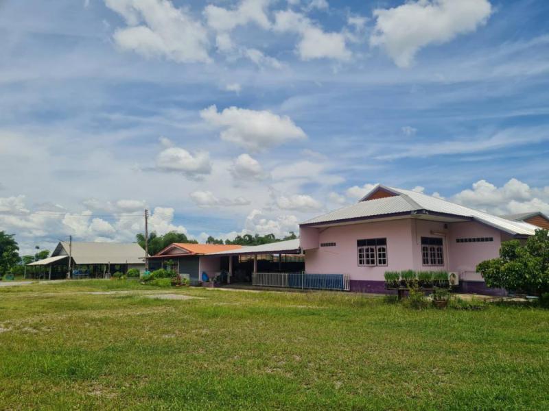 บ้านพร้อมที่ดิน 13500000 ฉะเชิงเทรา บางคล้า บางกระเจ็ด