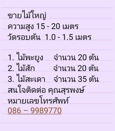 อื่นๆ 0 ระยอง ปลวกแดง ปลวกแดง