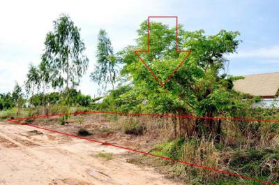 ที่ดิน 1200000 พิษณุโลก เมืองพิษณุโลก สมอแข