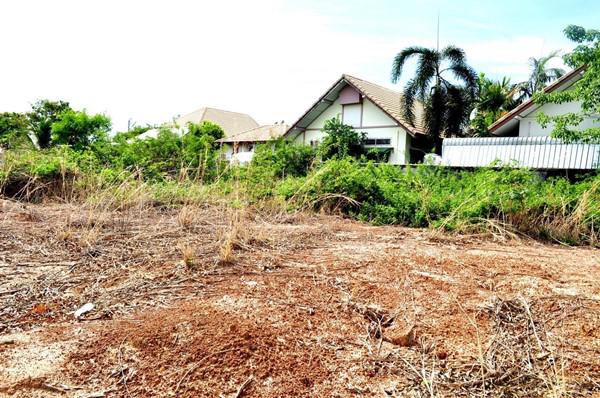 ที่ดิน 1200000 พิษณุโลก เมืองพิษณุโลก สมอแข