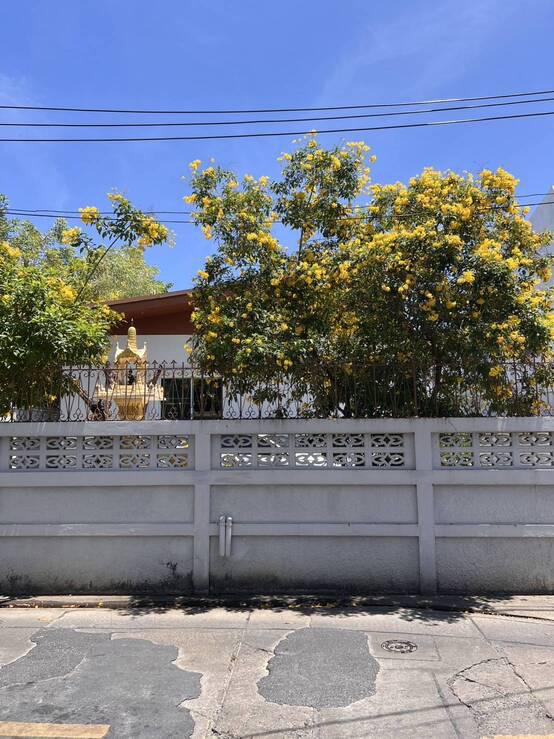 ที่ดิน 61950000 กรุงเทพมหานคร เขตวัฒนา พระโขนงเหนือ