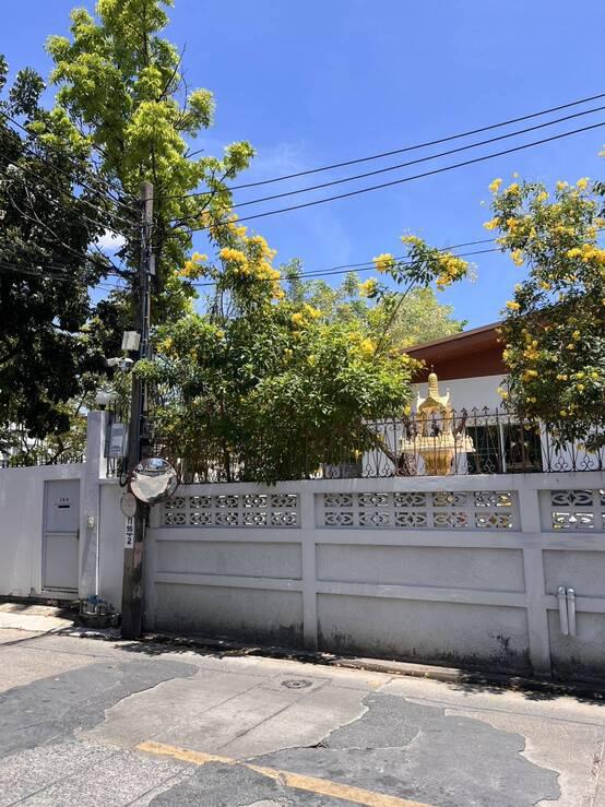 ที่ดิน 61950000 กรุงเทพมหานคร เขตวัฒนา พระโขนงเหนือ