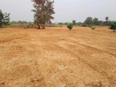 ที่ดิน 650000 สุโขทัย เมืองสุโขทัย บ้านกล้วย