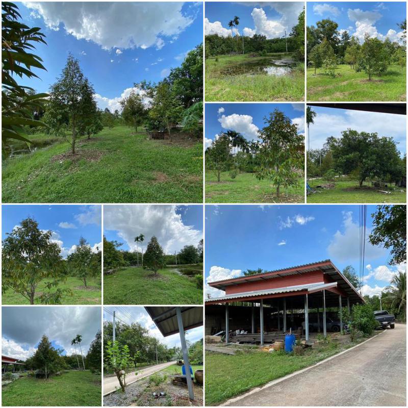 ไร่สวน 2500000 จันทบุรี นายายอาม นายายอาม
