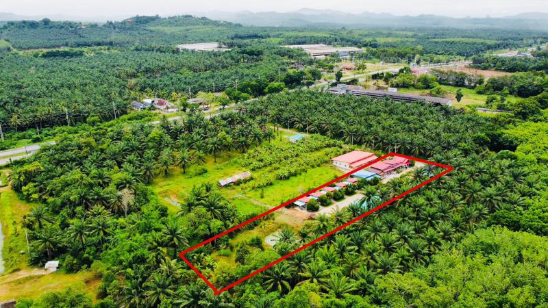 รีสอร์ท 9500000 ชุมพร ท่าแซะ ทรัพย์อนันต์