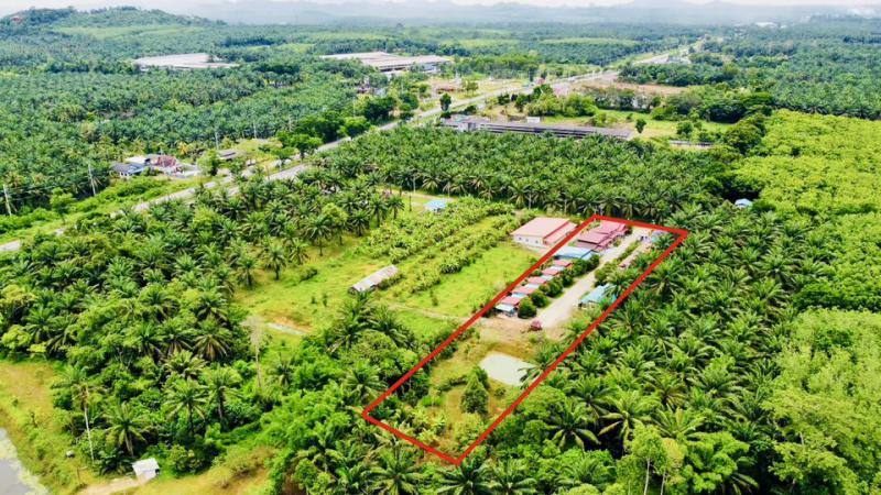 รีสอร์ท 9500000 ชุมพร ท่าแซะ ทรัพย์อนันต์