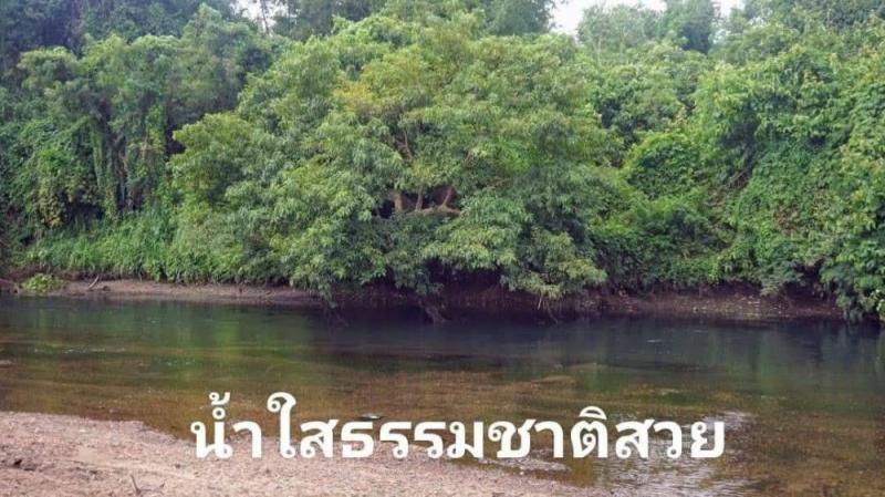 ที่ดิน 3650000 เพชรบุรี ท่ายาง กลัดหลวง