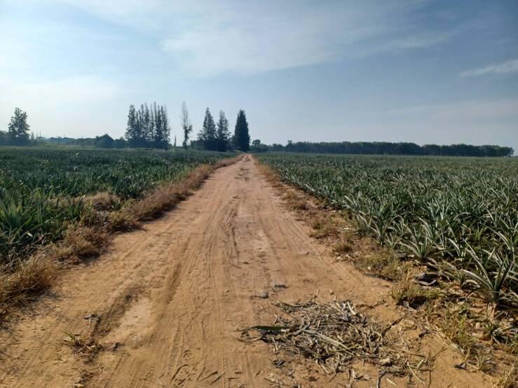 ที่ดิน 1600000 ประจวบคีรีขันธ์ หัวหิน ทับใต้