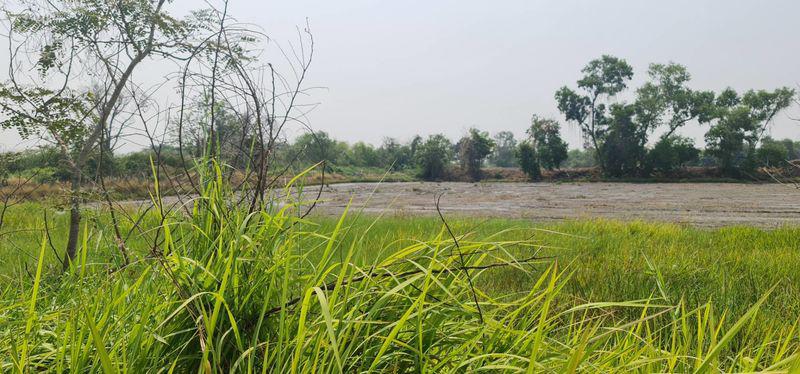 ที่ดิน 800000 ปทุมธานี หนองเสือ หนองสามวัง