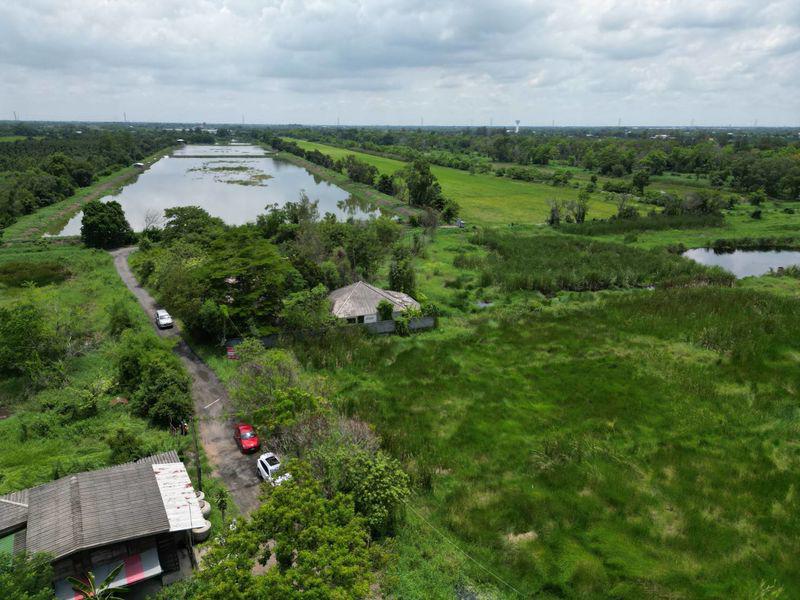 ที่ดิน 800000 ปทุมธานี หนองเสือ หนองสามวัง