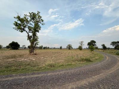 ที่ดิน 170000 บุรีรัมย์ กิ่งอำเภอบ้านด่าน บ้านด่าน