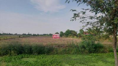 ที่ดิน 4800000 ปทุมธานี ลาดหลุมแก้ว ระแหง