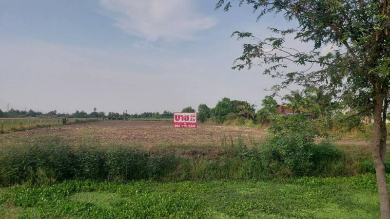 ที่ดิน 4800000 ปทุมธานี ลาดหลุมแก้ว ระแหง
