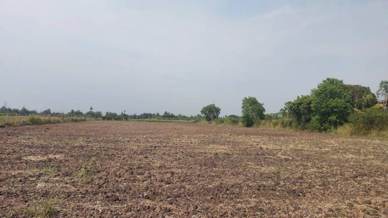 ที่ดิน 4800000 ปทุมธานี ลาดหลุมแก้ว ระแหง