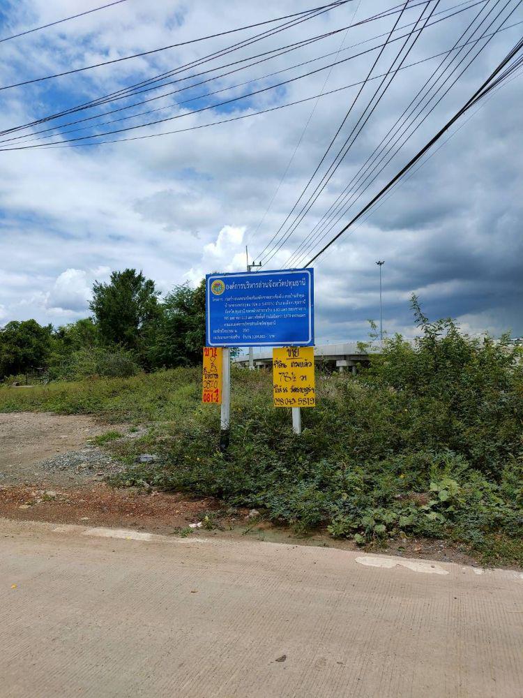 ที่ดิน 13706000 ปทุมธานี เมืองปทุมธานี บางหลวง