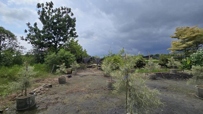 ที่ดิน 5000000 นนทบุรี บางใหญ่ บ้านใหม่