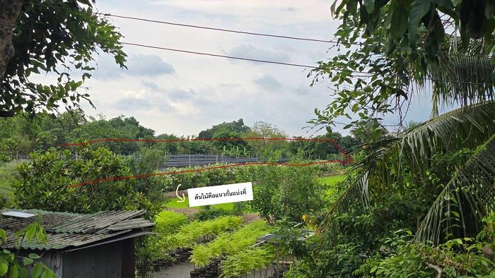 ที่ดิน 5000000 นนทบุรี บางใหญ่ บ้านใหม่