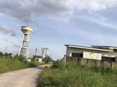 ที่ดิน 3500 พิษณุโลก เมืองพิษณุโลก หัวรอ