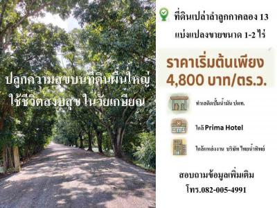 ที่ดิน 2100000 ปทุมธานี ลำลูกกา พืชอุดม