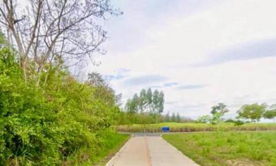 ที่ดิน 94200000 ชลบุรี บ้านบึง หนองไผ่แก้ว