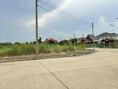 ที่ดิน 1350000 ปทุมธานี สามโคก ท้ายเกาะ