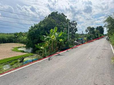 ที่ดิน 350000 ปทุมธานี หนองเสือ หนองสามวัง