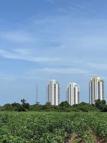 ที่ดิน 9500000 ชลบุรี ศรีราชา บางพระ