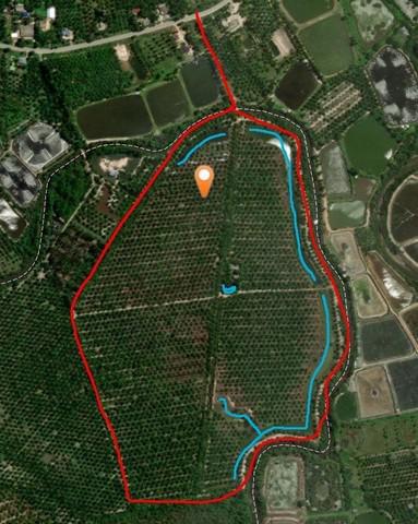 ที่ดิน 400000 สุราษฎร์ธานี ไชยา ตะกรบ