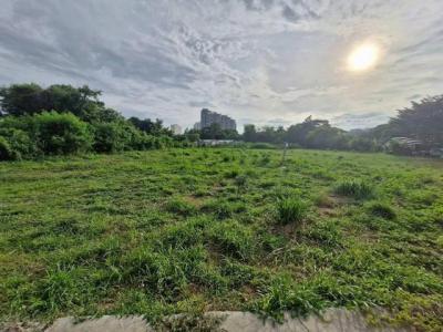 ที่ดิน 40000000 ชลบุรี บางละมุง หนองปรือ