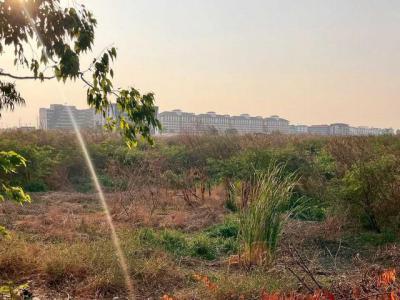 ที่ดิน 121000000 พระนครศรีอยุธยา อุทัย คานหาม