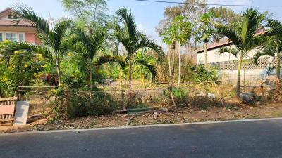 ที่ดิน 3009000 นครราชสีมา เมืองนครราชสีมา ปรุใหญ่