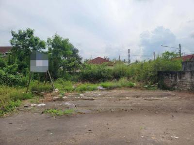 ที่ดิน 6548000 สุราษฎร์ธานี เมืองสุราษฎร์ธานี มะขามเตี้ย