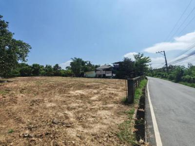 ที่ดิน 4536000 เชียงใหม่ สารภี สารภี