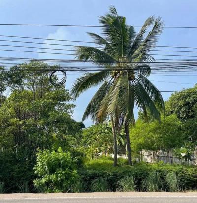 ที่ดิน 6000000 สมุทรสาคร เมืองสมุทรสาคร บ้านเกาะ