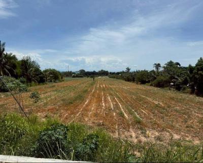 ที่ดิน 330000000 ชลบุรี สัตหีบ นาจอมเทียน