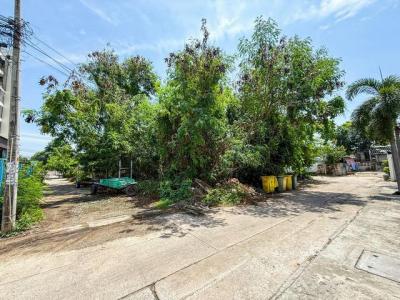 ที่ดิน 6800000 ชลบุรี เมืองชลบุรี แสนสุข