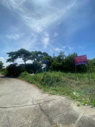 ที่ดิน 45000 กรุงเทพมหานคร เขตหนองแขม หนองค้างพลู