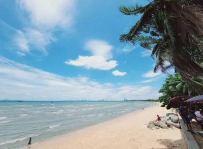 ที่ดิน 11500000 ชลบุรี สัตหีบ บางเสร่