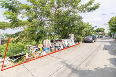 ที่ดิน 990000 ปทุมธานี ธัญบุรี ประชาธิปัตย์